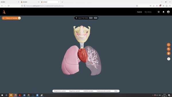 Aristotle respiratory model